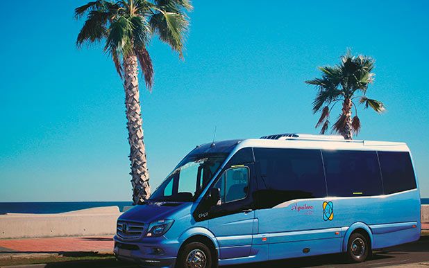 Autocares Aguilera van junto a palmera