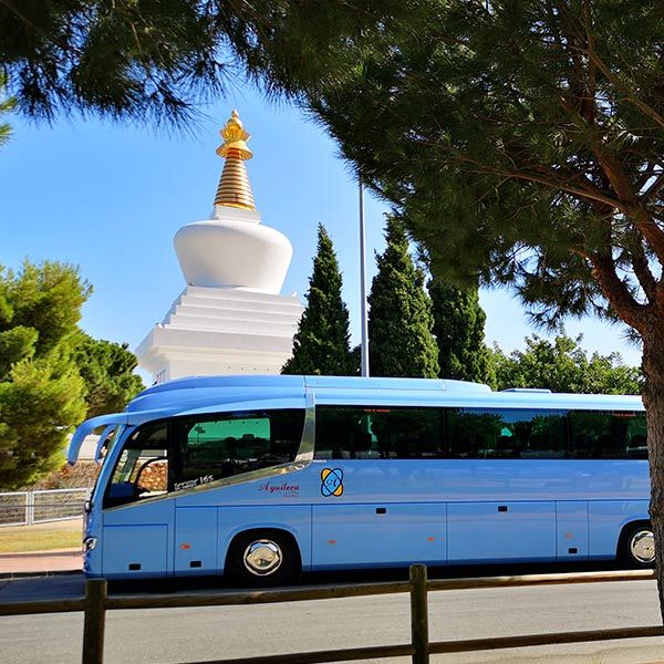 Autobús en ruta