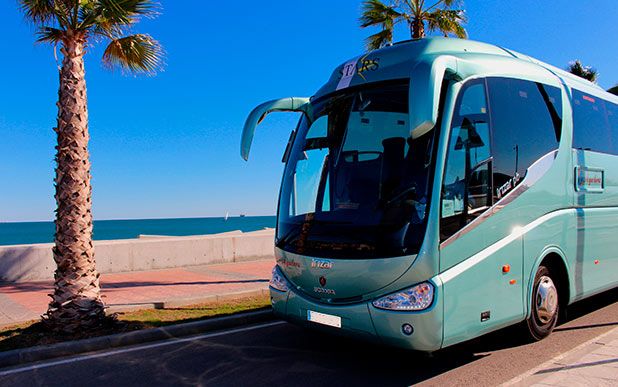 Autocares Aguilera autobús junto a palmera
