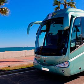 Autocares Aguilera autobús junto a palmera